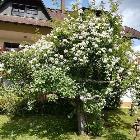 Grether Lägenhet *